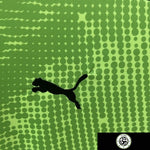 eb4d3ef713d717f4.jpg