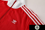 f0607671d4c37345.jpg