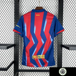 667cdf7223f4c39e55f648a6.webp.jpg